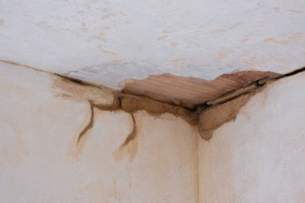 Best Professional water damage repair  in Middlefield, OH